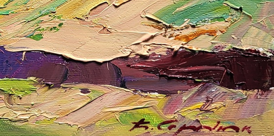 Image 1 of In der Nähe eines Gebirgsbachs