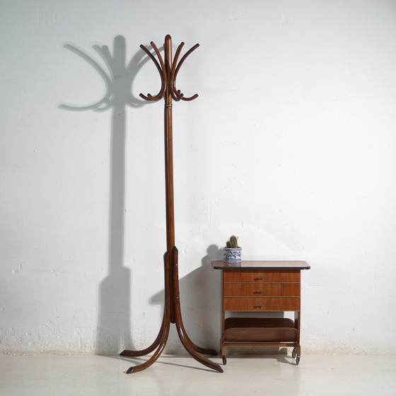 Bentwood Coat Stand in Beechwood – Austria-Hungary, Thonet Style, Circa 1900 – Coat racks, Metal (photo 36 of 36)