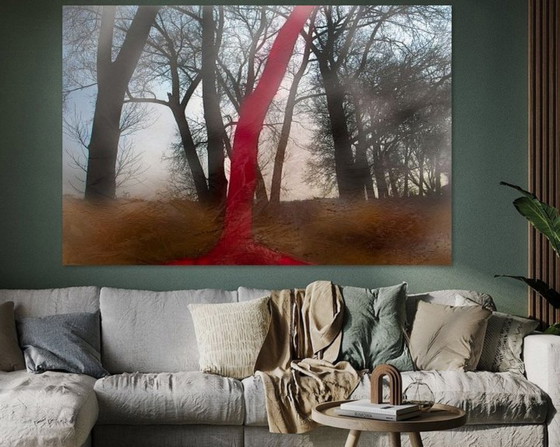 Image 1 of Dromen in het Bos 