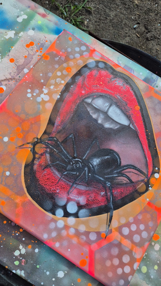 Image 1 of Debbie Vervoort - Vedova Nera