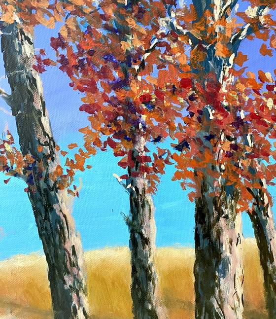 Image 1 of Sea Meets Land