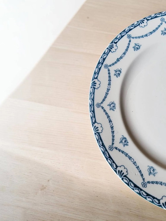 6 piatti in terraglia inglese "Cheltenham" — F. Winkle & Co – Stoviglie, Porcelain, Art Nouveau (photo 5 of 8)
