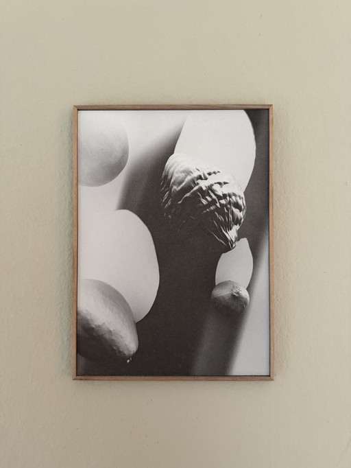 Foam First Editions | Laure Sée