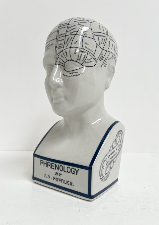 Keramieken 30 cm Hoge Phrenology Hoofd, 1990’s