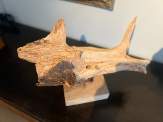* Uniek Stuk Driftwood, Drijfhout, Teak Wortel Haai – Decoratieve objecten (photo 4 of 9)