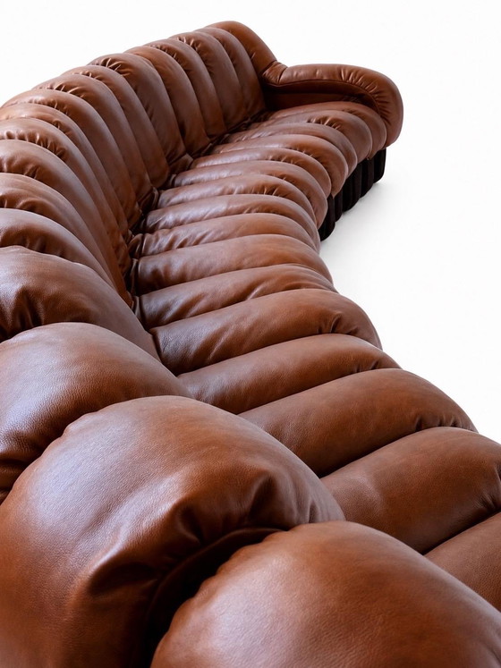 De Sede Ds600 Snake en cuir Cognac, 20 éléments, Canapés modulables, Textile, Marron (photo 13 sur 15)