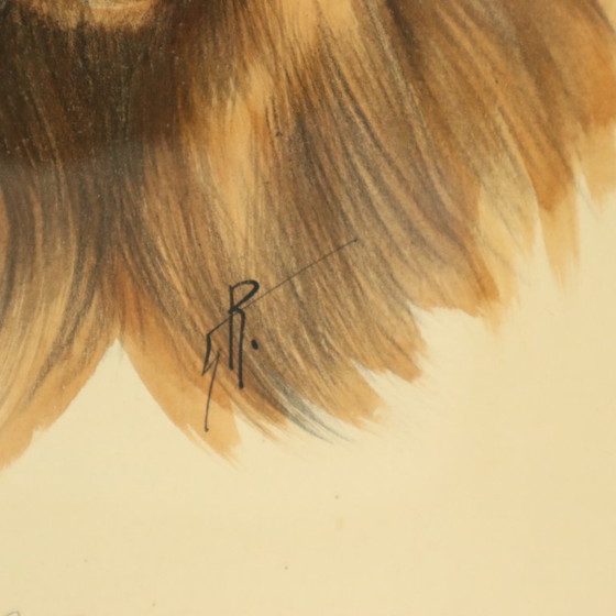 Image 1 of Vintage Kleuren Litho Hond Chow Chow