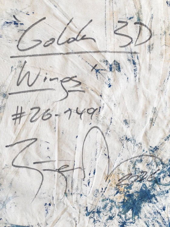 Jürgen Angeler - Golden 3D Wings – Paintings & Drawings, Canvas, Abstract (photo 8 of 24)