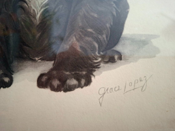Image 1 of Litografia americana d'epoca, circa 1950, di Grace Lopez - Cuccioli di Cocker Spaniel - Decorazione