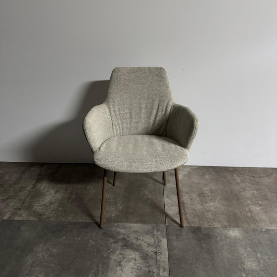 Image 1 of Maple  Set van 4