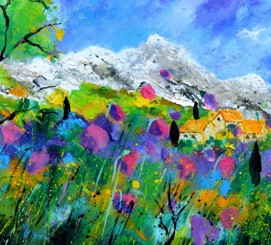 Image 1 of Rose Provence