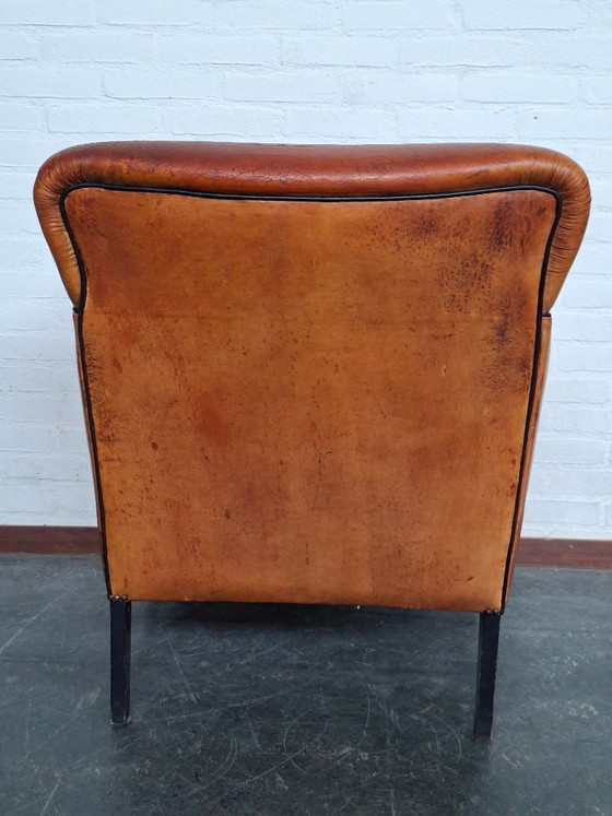 Poltrona Sheepskin Club – Poltrone, Leather, Wood (photo 4 of 10)