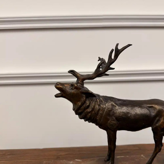 Buy Bronze Red Deer Sculpture? - Wide selection!, Chesterfield (photo 3 of 8)
