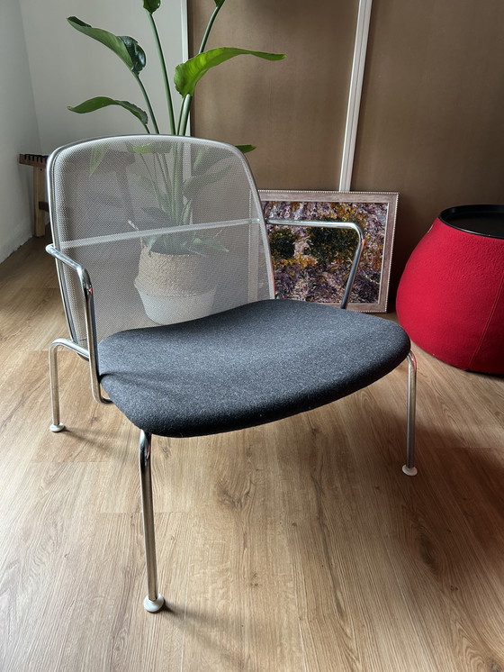 Image 1 of B&B Italia "Web" Chairs for Sale – Designed by Antonio Citterio