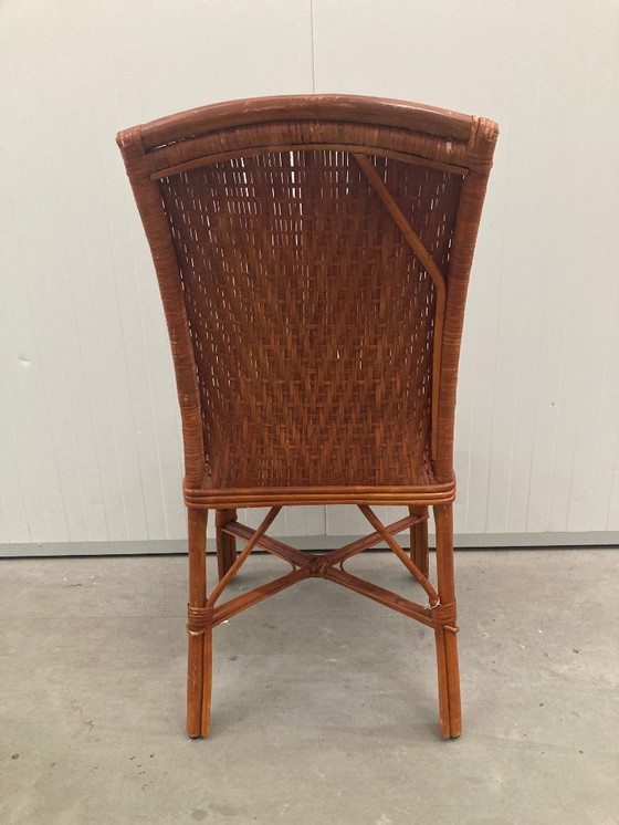 Image 1 of Sedie da pranzo vintage in rattan tropicale boho