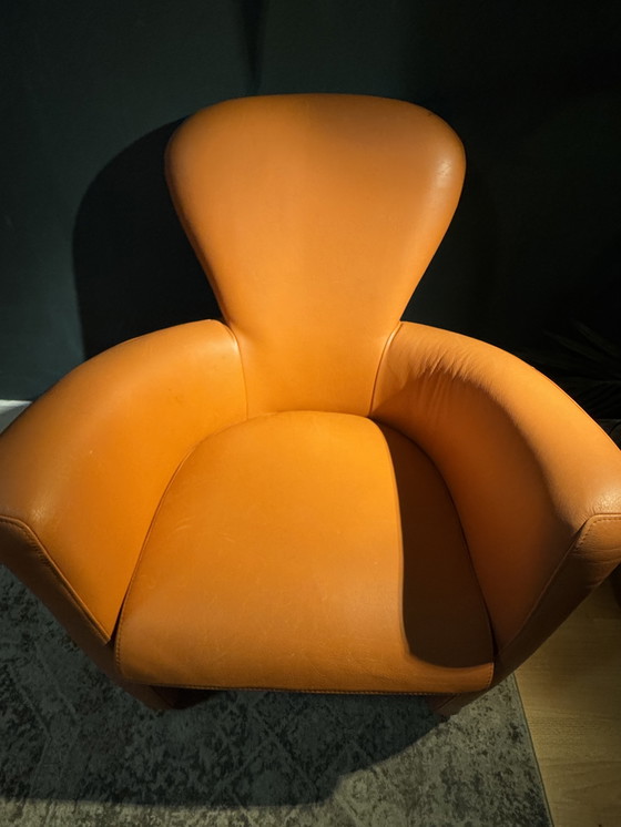 Image 1 of Poltroncina Amphora Leolux Design Moderno Leer