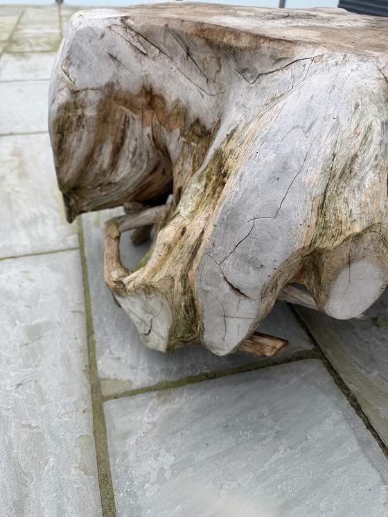 Image 1 of Design teak root unique coffee table