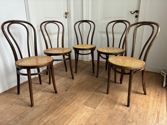 Image 1 of Set di 5 sedie Thonet n. 18 di ZPM Radomsko