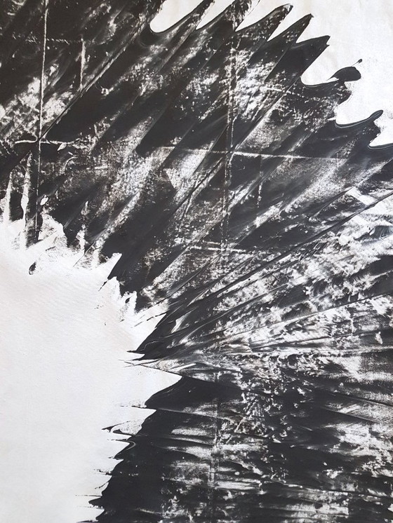 Image 1 of Jürgen Angeler - Zwarte Zilveren Sikkel