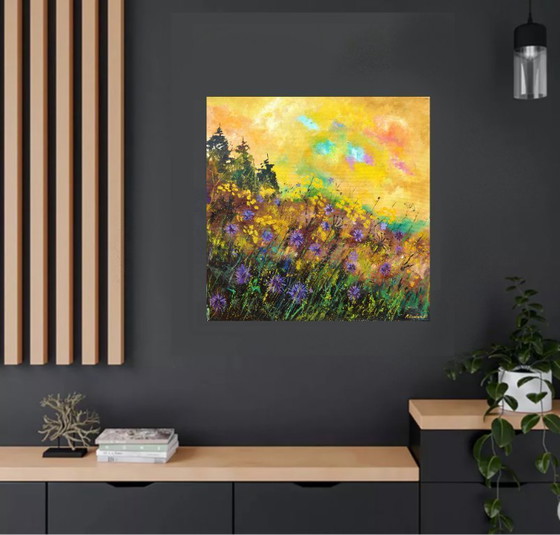 Image 1 of Cornflowers