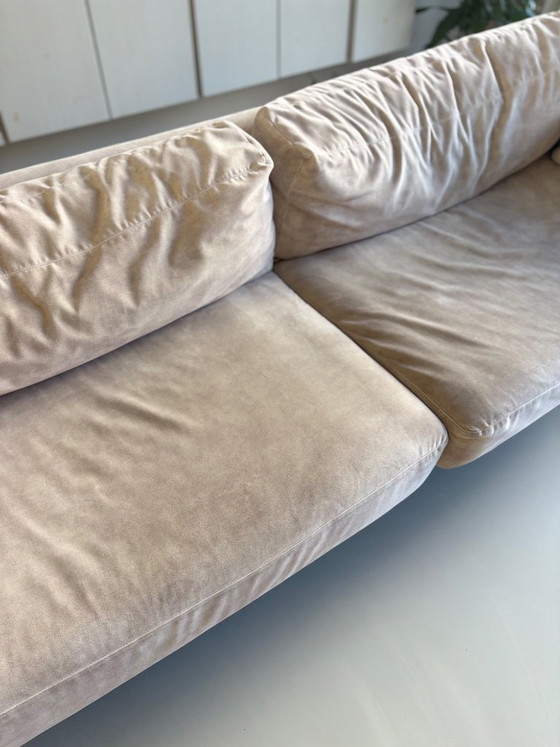 Divano Fest Amsterdam miller 3,5 posti, Divani 3 posti, Altro, Beige (foto 4 di 6)