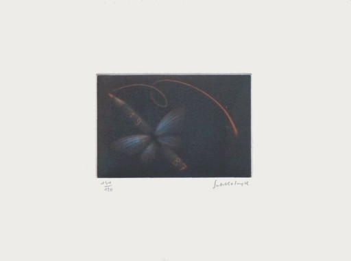 Laurent SCHKOLNYK La Libellule au vent Signed mezzotint 1987