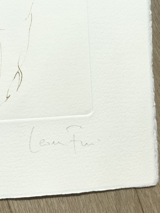 Image 1 of Leonor Fini, Litografía poco común sobre papel Arches, alrededor de 1980