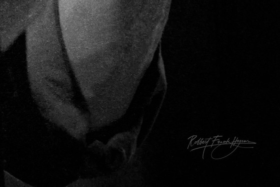 Image 1 of Herman Brood 1981 | Dibond met Plexiglas 4/25