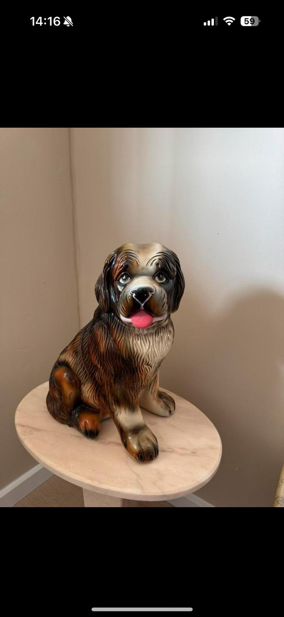 Image 1 of Cane d&#39;epoca