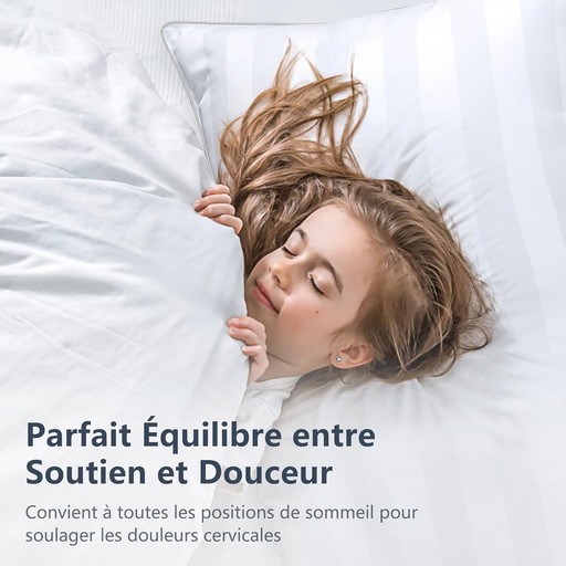 TESQ Oreiller 65x65 cm Lot de 2 Oreillers Confort Moelleux, Qualité Hôtelière de Luxe, Respirant et Hypoallergénique, Idéal pour