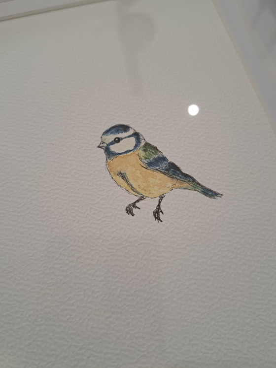 Image 1 of Set of 3 original watercolor paintings of mini birds