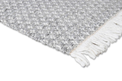 Brinker PET Design Loose