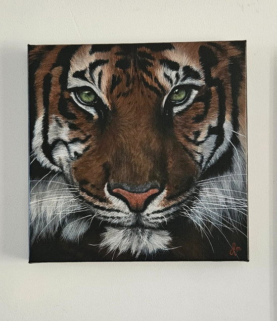 Image 1 of Handmade acrylic painting tiger "eye of the tiger"