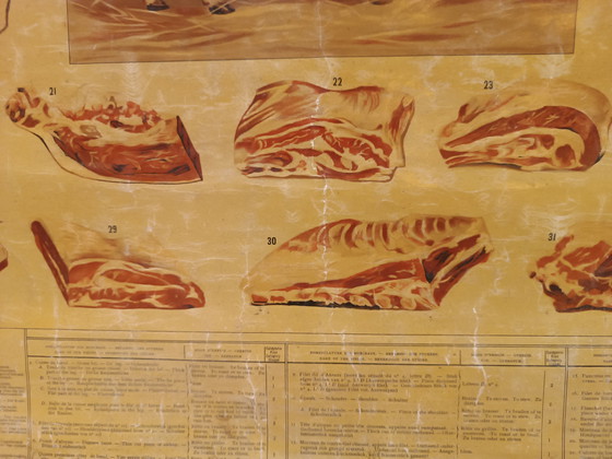 Image 1 of Schulplakat Metzgerschule „Het Rund“