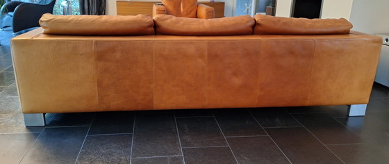 Image 1 of Classic Molinari leather sofa