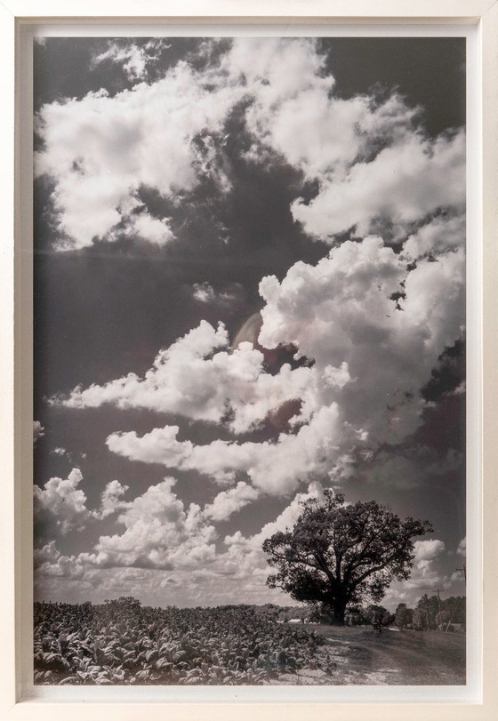 Image 1 of Virginia Landscape 2022