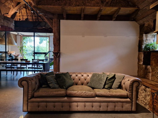 Vintage Chesterfield, restauriert, schöne Farbe