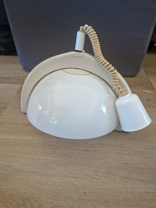 Bony design pendant lamp