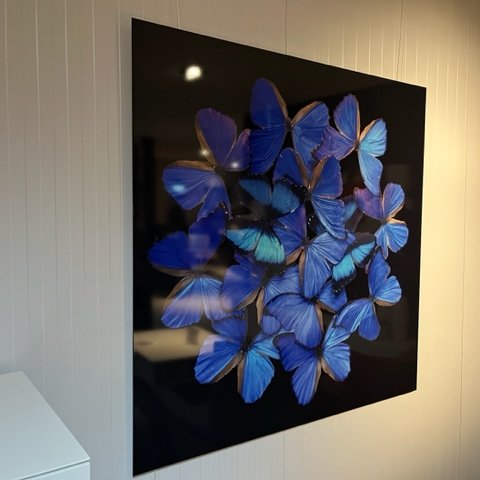 Image 1 of Decoración de pared con mariposas de Mondi Art