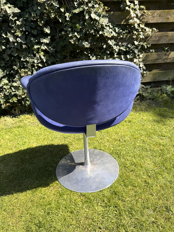 Image 1 of Little tip Artifort (blue)