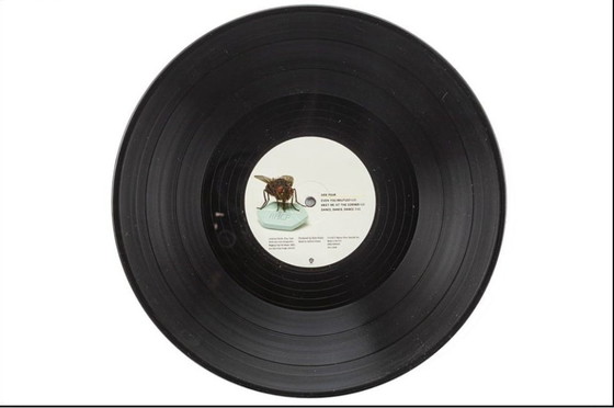 Image 1 of LP autografato da Damien Hirst x Red Hot Chili Peppers in scatola di plexiglass