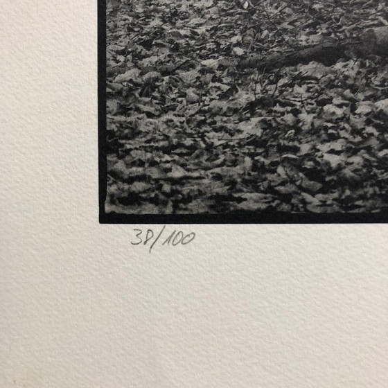 Image 1 of Stampa fotografica firmata Ralph Janowski 38/100