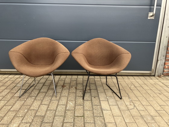 Image 1 of 2 chaises originales Knoll Bertoia Diamond