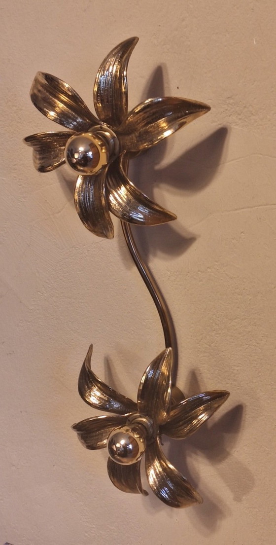 Image 1 of Brass Organically Shaped Double Wall or Ceiling Lights, 1970s