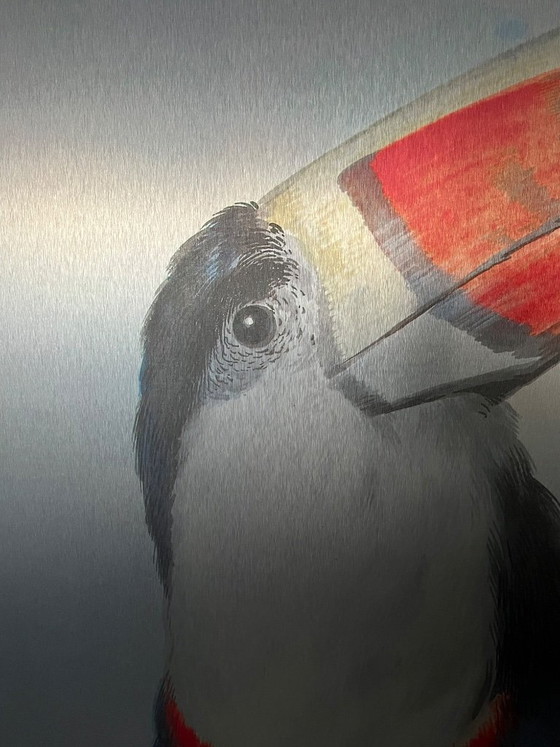 Image 1 of Tukan-Gemälde