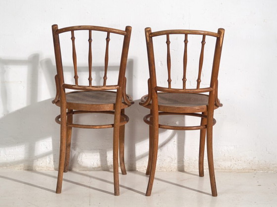 Pair of Thonet style bentwood chairs with turned spindles – Central Europe, circa 1920 – Dining chairs (photo 34 of 40)