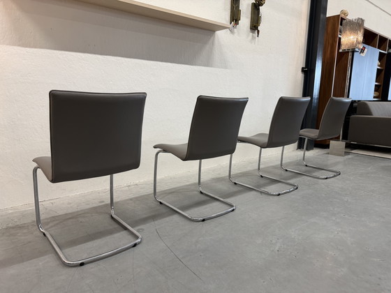 Image 1 of 4 Leolux Freyr dining chair Wapiti Triel