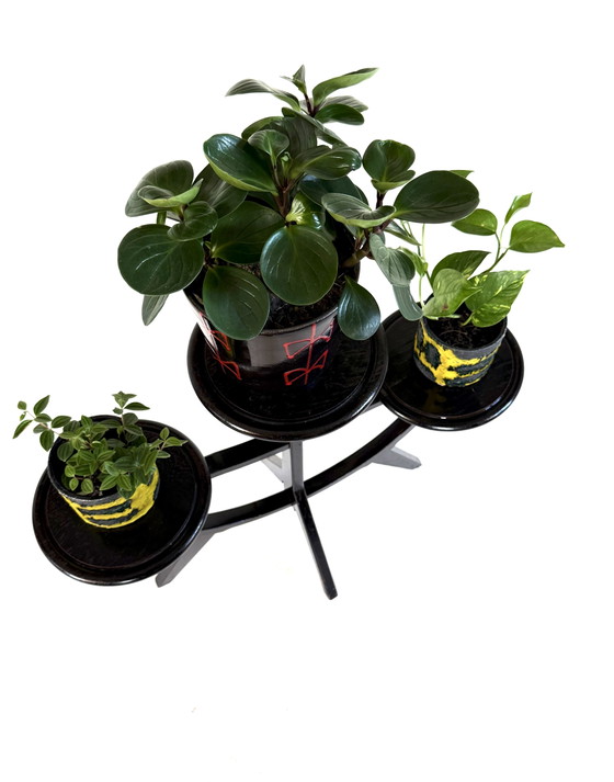 Image 1 of Vintage plantentafel ‘50