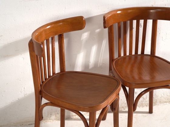 Set of 4 Antique chairs in Thonet style bentwood – Central Europe, circa 1930 #2 – Dining chairs (photo 34 of 40)