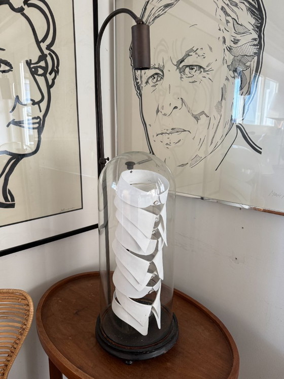 Image 1 of Antique Collar display